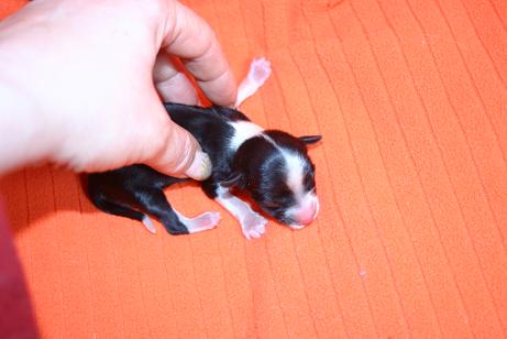 12.3.2010 062.jpg