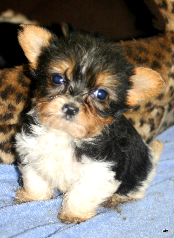7.5,2010 045-1.jpg